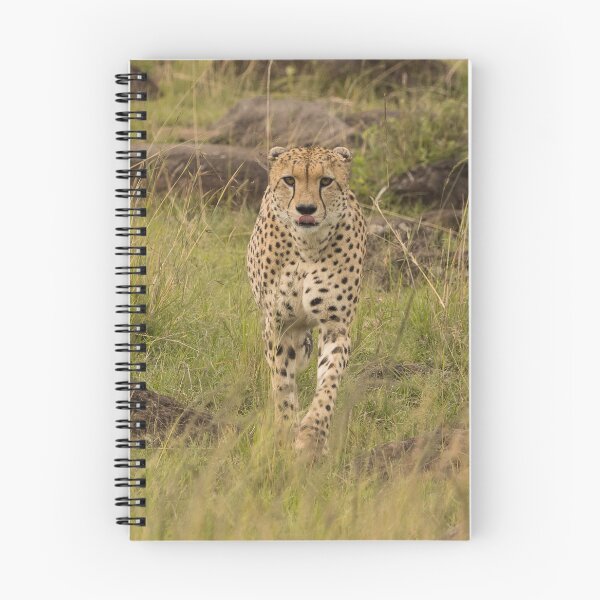 Item preview, Cheetah - head on. designed and sold by FlyladyphotoBWC.