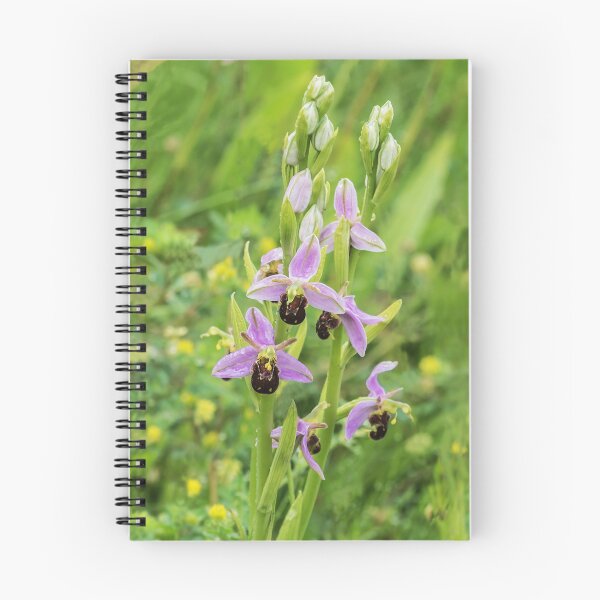 Item preview, Bee Orchid designed and sold by MikeSquires.