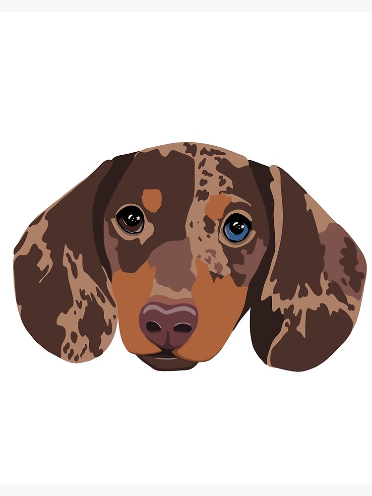 Chocolate weiner dog best sale