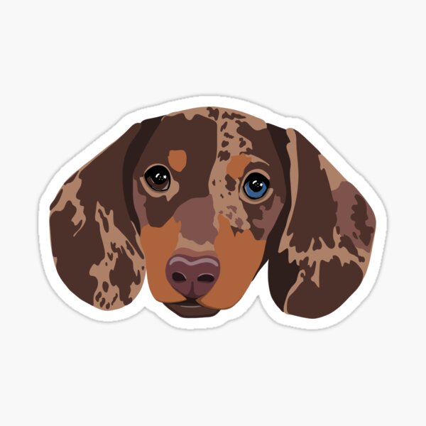 Item preview, Dachshund sausage dog design. Merle chocolate daxie Weiner dog designed and sold by Scribbleluxe.