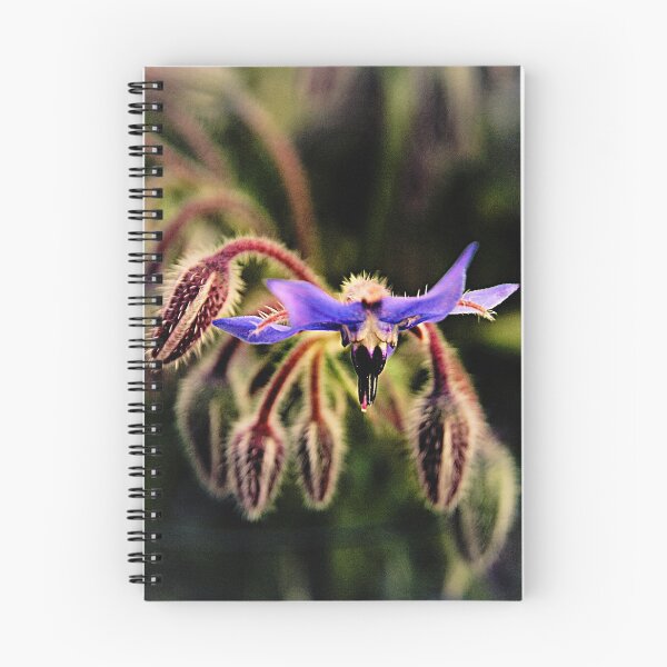 Item preview, Single Blue Flower. designed and sold by Forfarlass.