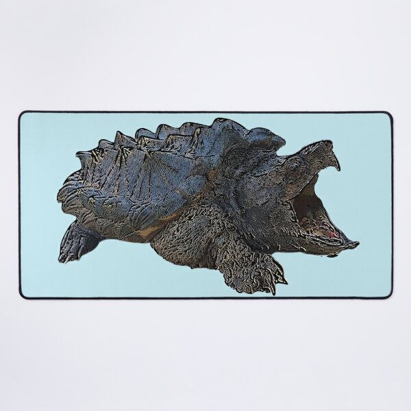 Black Snapping Turtle: Over 39 Royalty-Free Licensable Stock Illustrations  & Drawings | Shutterstock