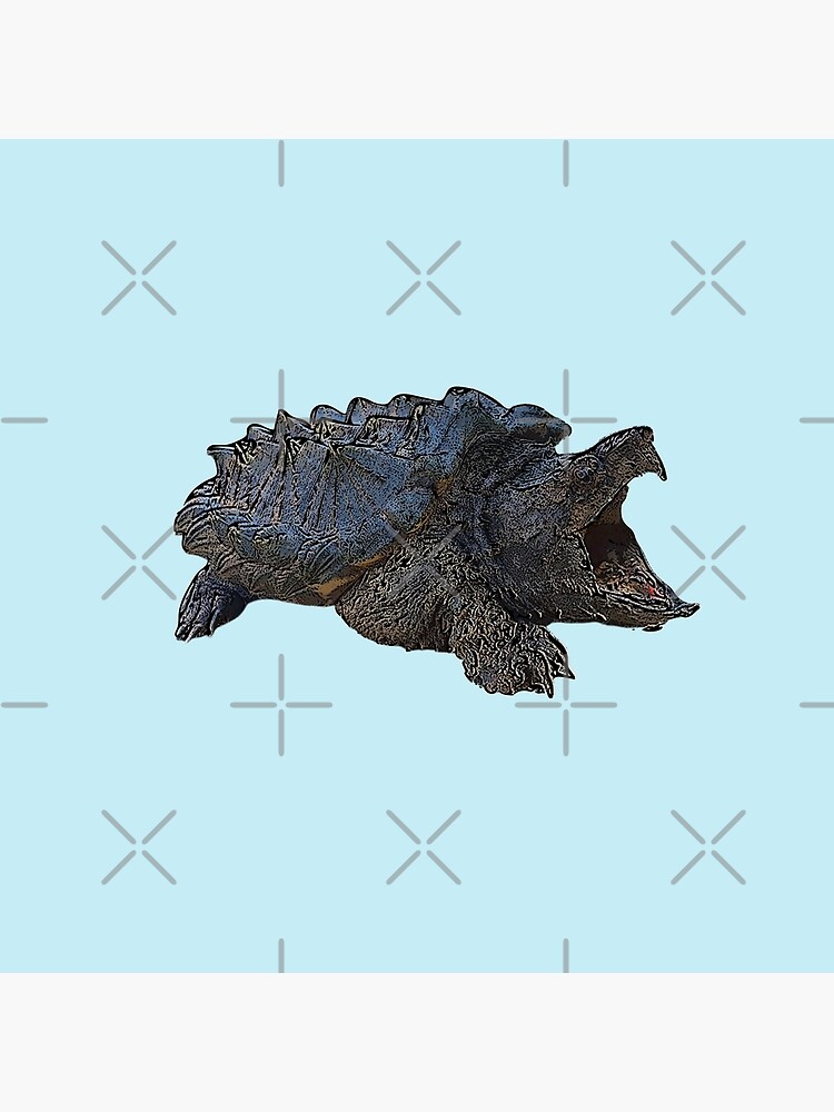 Alligator Snapping Turtle Color Design Painting 