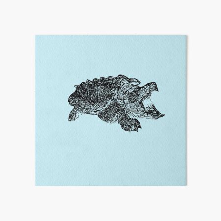 Alligator Snapping Turtle | Alligator snapping turtle, Turtle tattoo, Turtle  drawing