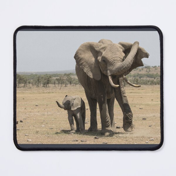Item preview, Trunk Practice - Elephants designed and sold by FlyladyphotoBWC.