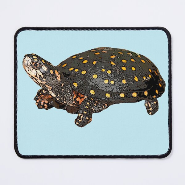 Item preview, Spotted Turtle Color Design Painting Print designed and sold by designsasstultd.