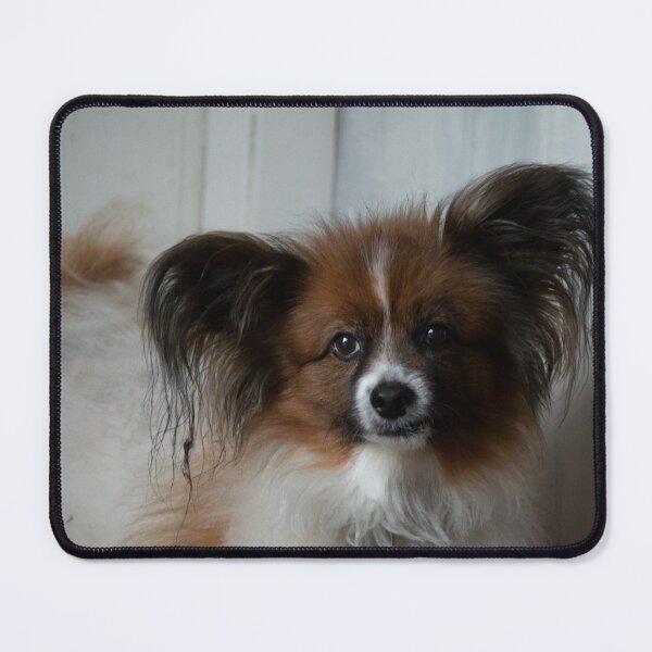 Item preview, Papillon designed and sold by JadeRiverImages.