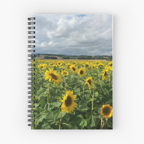 Item preview, Sunflower Field  designed and sold by MDHarding.