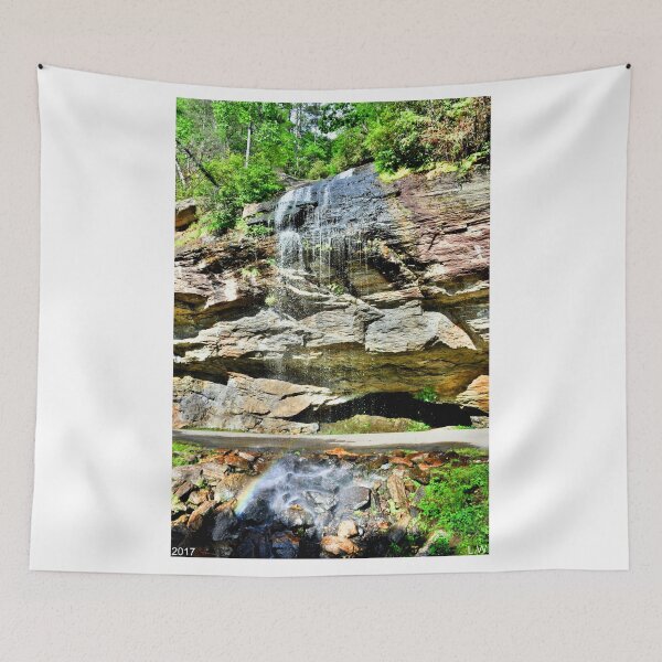 Aperçu de l'œuvre Bridal Veil Falls Highland Caroline du Nord créée et vendue par LisaWootenPhoto.