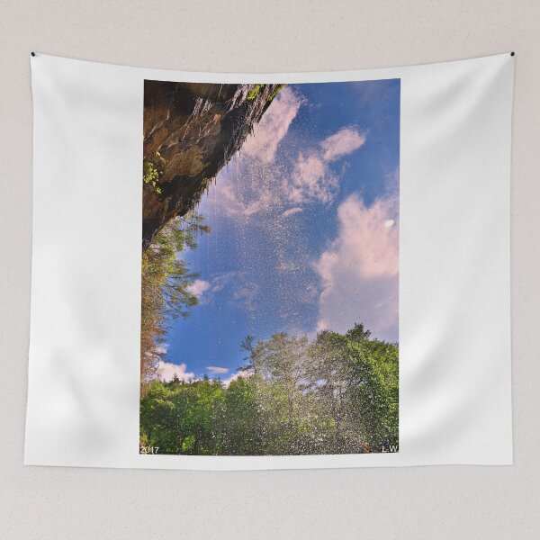 Aperçu de l'œuvre Derrière Bridal Veil Falls Highland NC créée et vendue par LisaWootenPhoto.