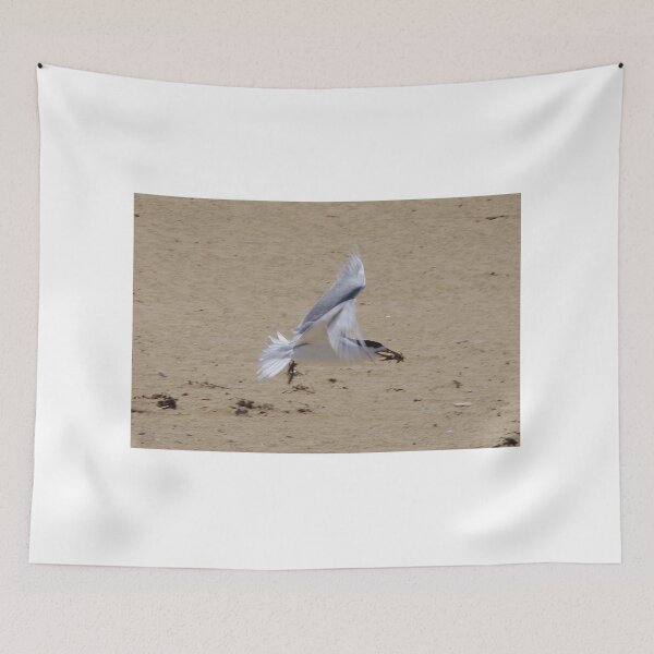 Item preview, Fish Delivery - Greater Crested Tern designed and sold by lezvee.