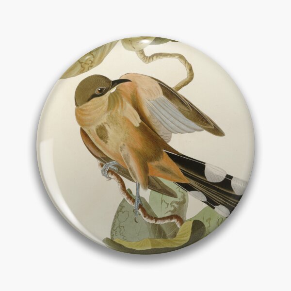 Item preview, Mangrove Cuckoo - John James Audubon Birds of America designed and sold by Natural History Prints.