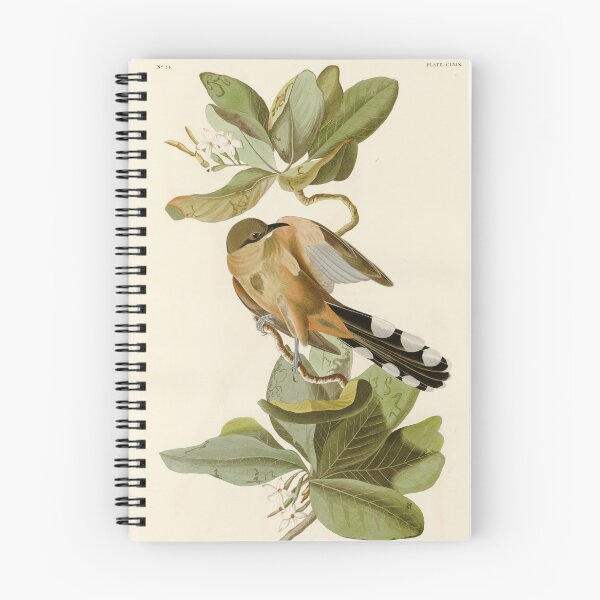 Item preview, Mangrove Cuckoo - John James Audubon Birds of America designed and sold by Natural History Prints.
