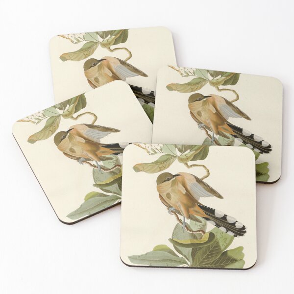 Item preview, Mangrove Cuckoo - John James Audubon Birds of America designed and sold by Natural History Prints.