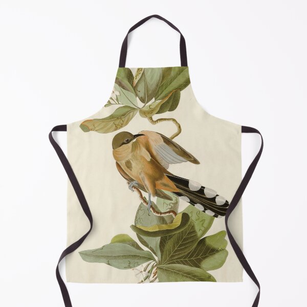 Item preview, Mangrove Cuckoo - John James Audubon Birds of America designed and sold by Natural History Prints.