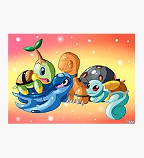 Turtle And Tortoise Pokemon Photographic Print