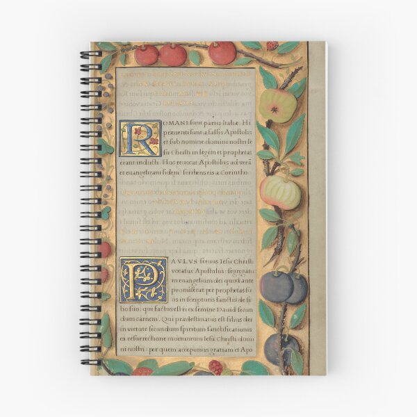 Item preview, Decorated Text Page (1530) - French Illuminated Manuscript designed and sold by SALON DES ARTS.