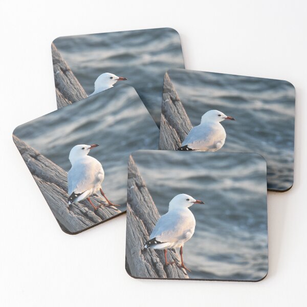 Item preview, Pretty Seagull designed and sold by Angel Granata - Lone Gull Studio.