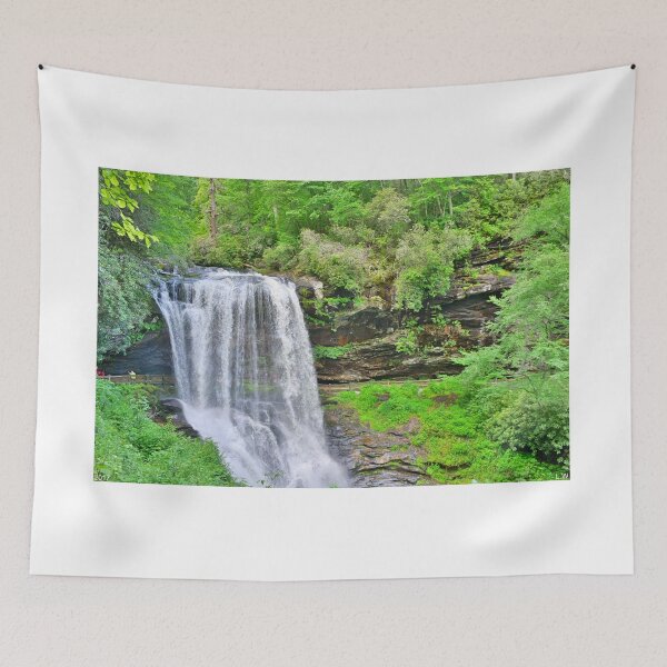 Item preview, Dry Falls Highlands North Carolina designed and sold by LisaWootenPhoto.