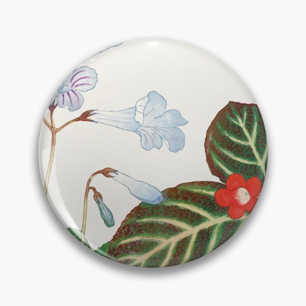 Item preview, Tydea And Cape Primrose flower designed and sold by placefa.