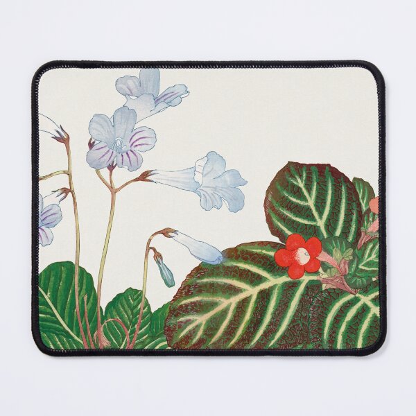 Item preview, Tydea And Cape Primrose flower designed and sold by placefa.