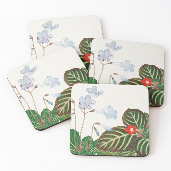 Item preview, Tydea And Cape Primrose flower designed and sold by placefa.