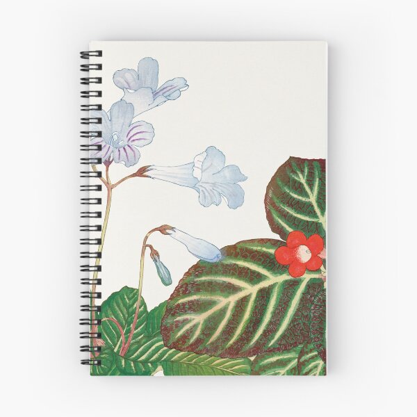 Item preview, Tydea And Cape Primrose flower designed and sold by placefa.