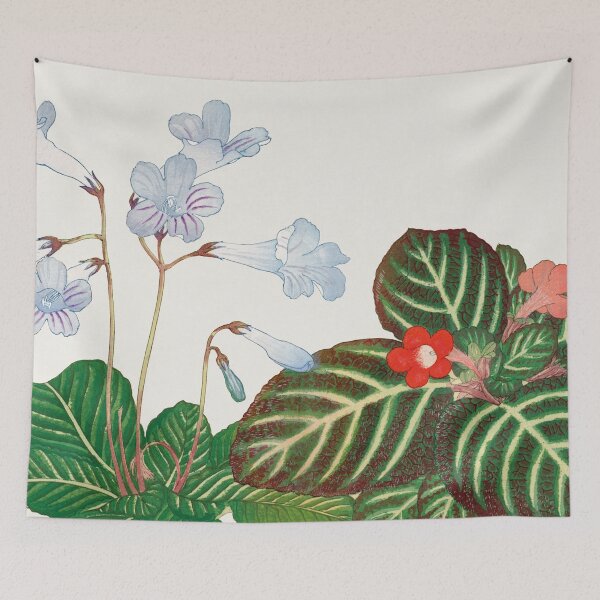 Item preview, Tydea And Cape Primrose flower designed and sold by placefa.
