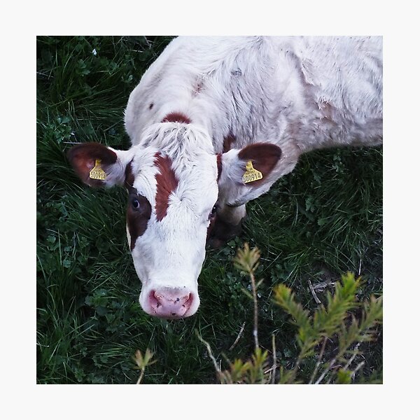 Item preview, Mooving on up designed and sold by Yampimon.