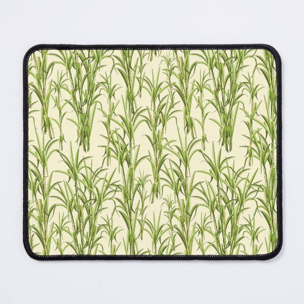 Item preview, Sugar Cane Exotic Plant designed and sold by BluedarkArt.