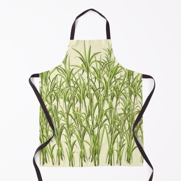 Item preview, Sugar Cane Exotic Plant designed and sold by BluedarkArt.