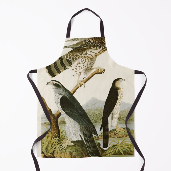 Item preview, Goshawk Stanley Hawk - John James Audubon Birds of America designed and sold by Natural History Prints.
