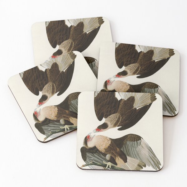 Item preview, Brazilian Caracara Eagle - John James Audubon Birds of America designed and sold by Natural History Prints.
