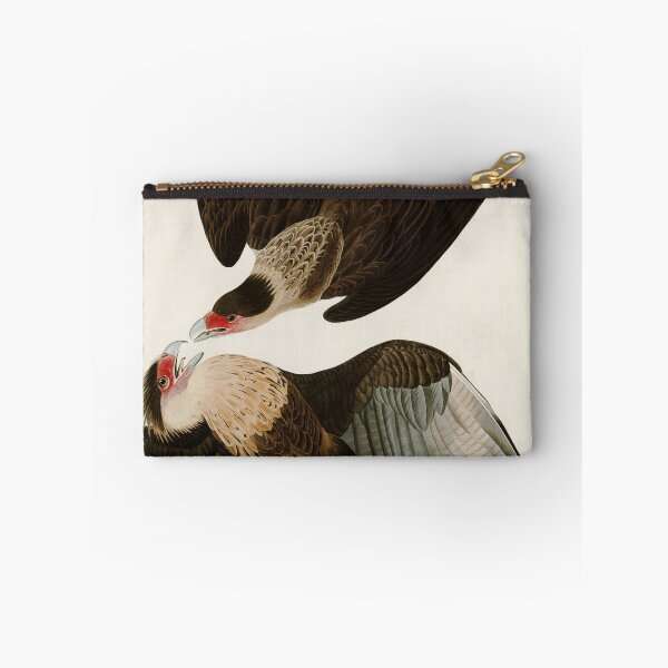 Item preview, Brazilian Caracara Eagle - John James Audubon Birds of America designed and sold by Natural History Prints.