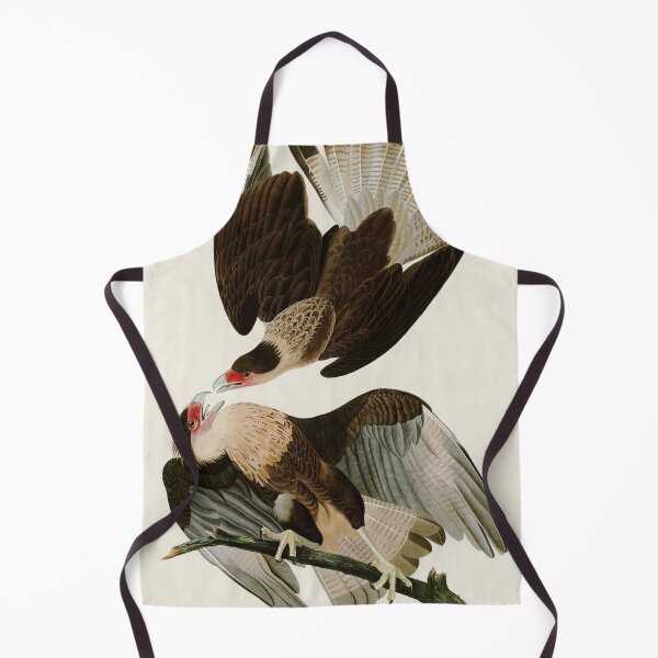 Item preview, Brazilian Caracara Eagle - John James Audubon Birds of America designed and sold by Natural History Prints.