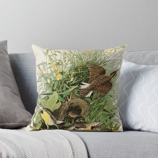 Item preview, Meadow Lark - John James Audubon Birds of America designed and sold by Natural History Prints.