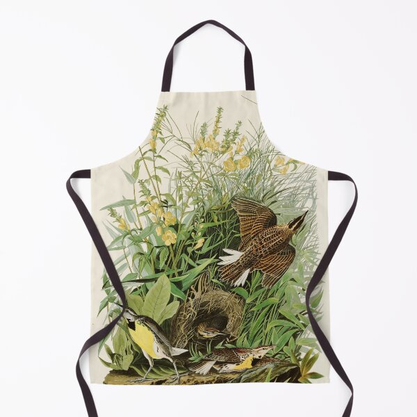 Item preview, Meadow Lark - John James Audubon Birds of America designed and sold by Natural History Prints.