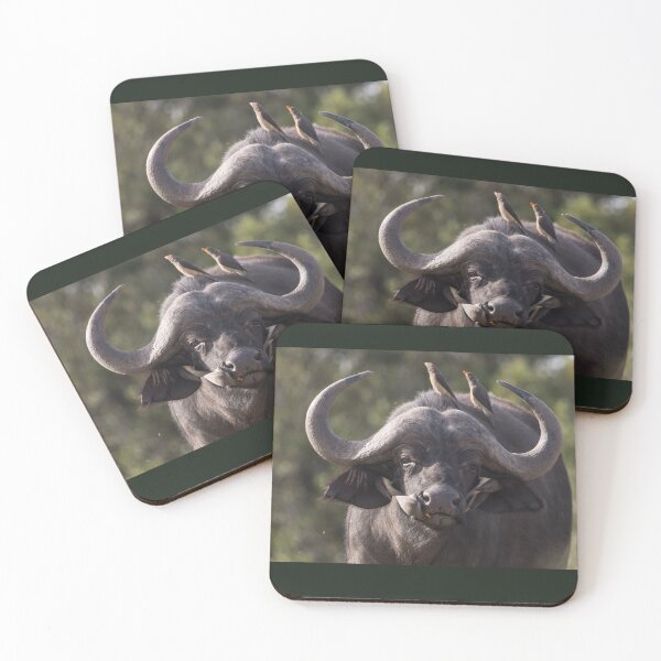 Item preview, Buffalo designed and sold by FlyladyphotoBWC.