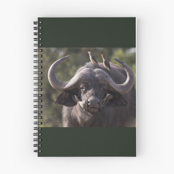 Item preview, Buffalo designed and sold by FlyladyphotoBWC.