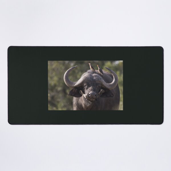 Item preview, Buffalo designed and sold by FlyladyphotoBWC.