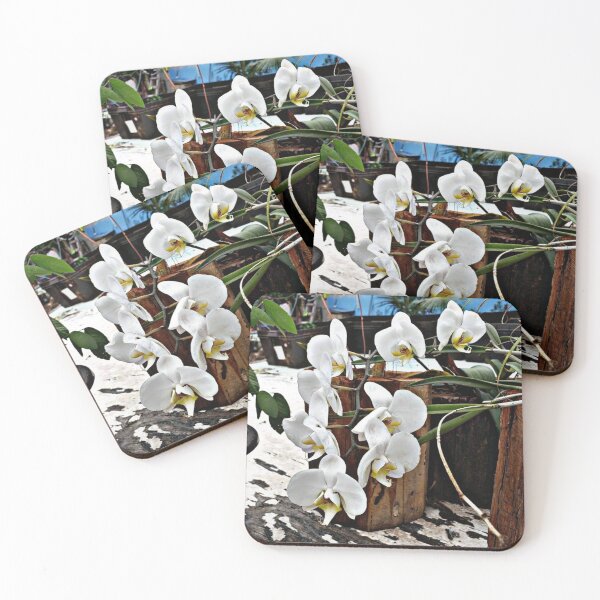 Item preview, orchid flower "moth orchid"  designed and sold by Shubatdesigns.