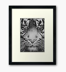 Tiger. Framed Print