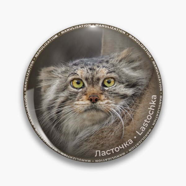 Item preview, Lastochka the Pallas's cat designed and sold by Manulization.
