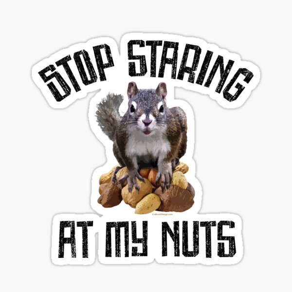 Funny Squirrel Slogans Gifts & Merchandise for Sale | Redbubble