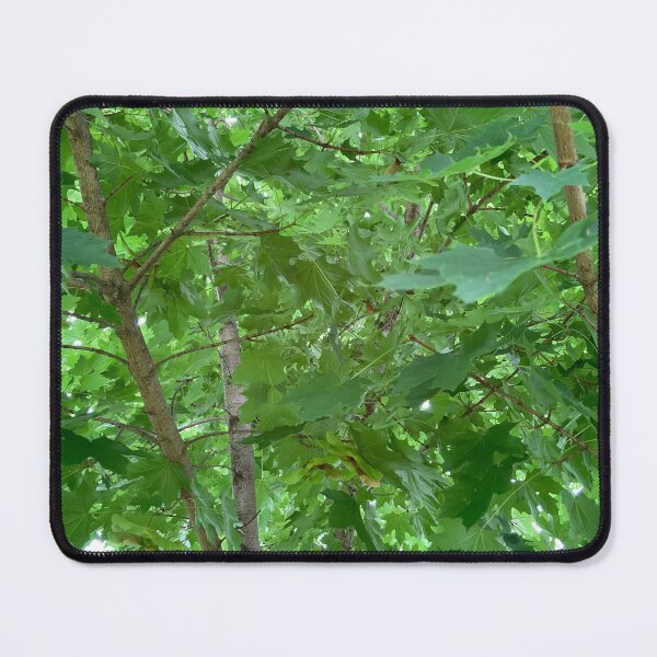 Item preview, Inside The Maple Tree  designed and sold by Amanda1775.