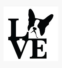 Boston Terrier Love Photographic Print