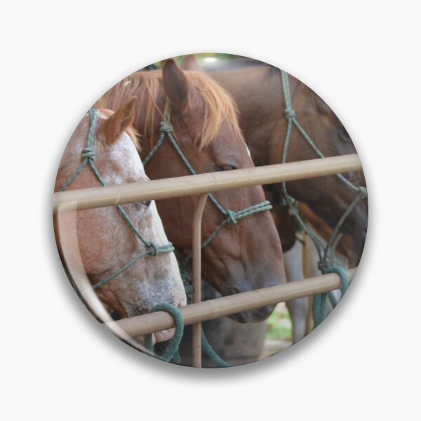 Item preview, Horse riding designed and sold by Dacia Tomnitz.