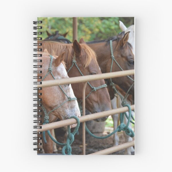 Item preview, Horse riding designed and sold by Dacia Tomnitz.
