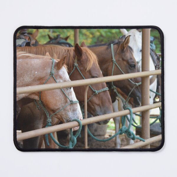 Item preview, Horse riding designed and sold by Dacia Tomnitz.