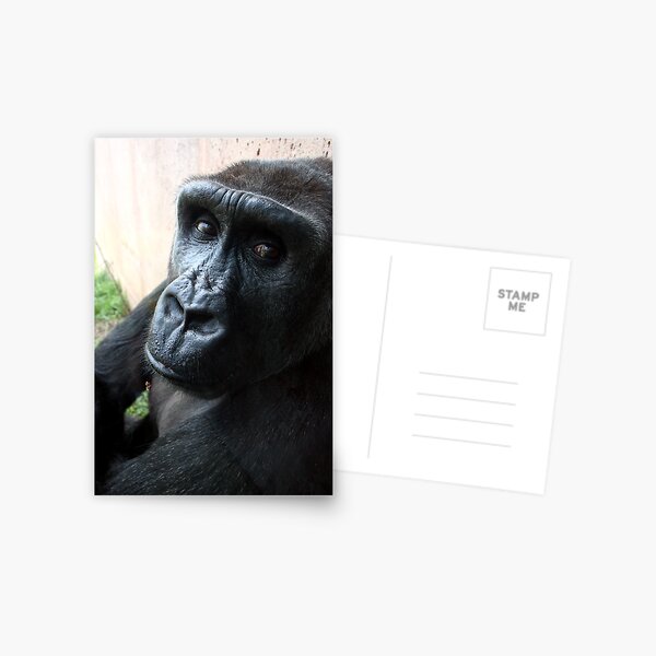 Alone Postcard